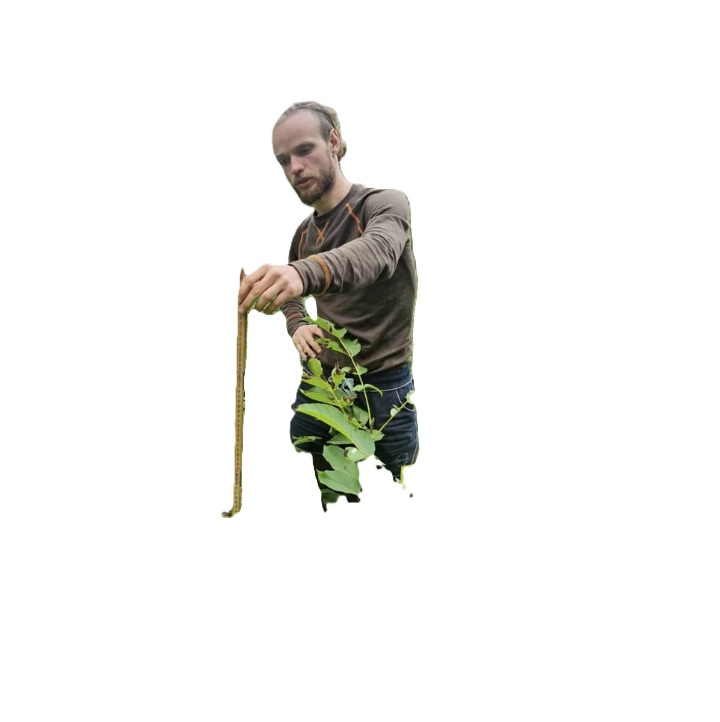 Förna i Bästekille